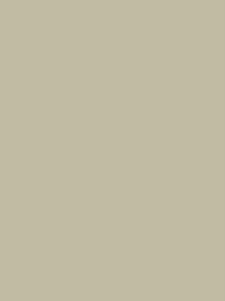 Sage Green Solid Color Board