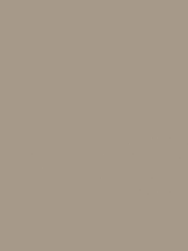 Warm Taupe Grey Solid Color Board
